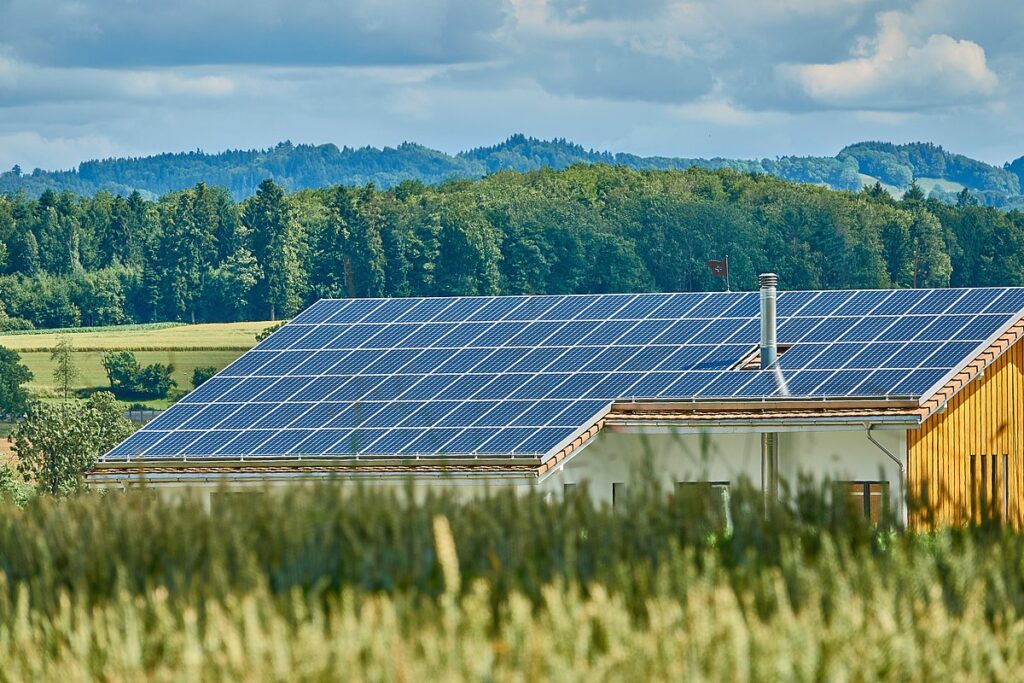 solar energy roof top plants